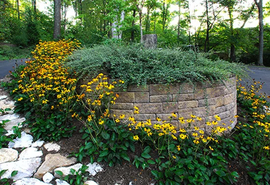 Halian & Associates Landscapes - Photo 3