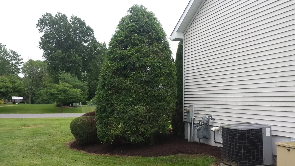 Our Efforts by Manwaring's Lawn & Snow - Photo 39