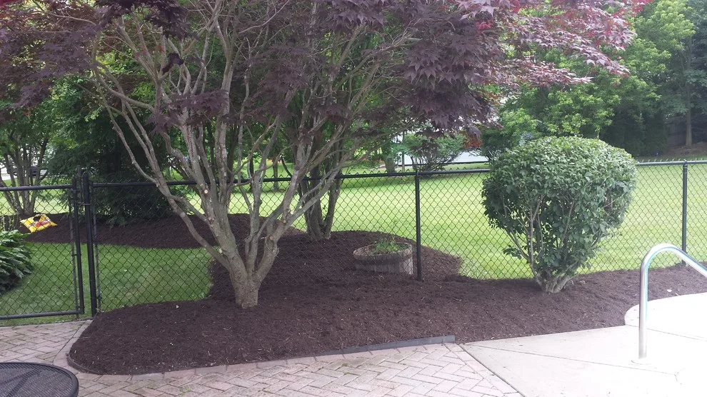 Our Efforts by Manwaring's Lawn & Snow - Photo 16