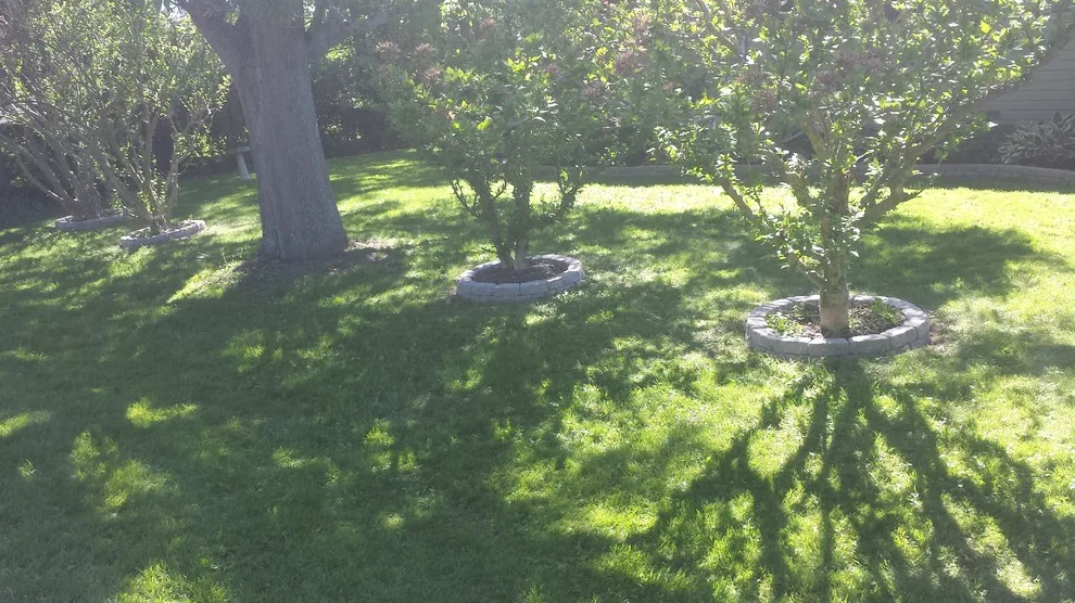Our Efforts by Manwaring's Lawn & Snow - Photo 18