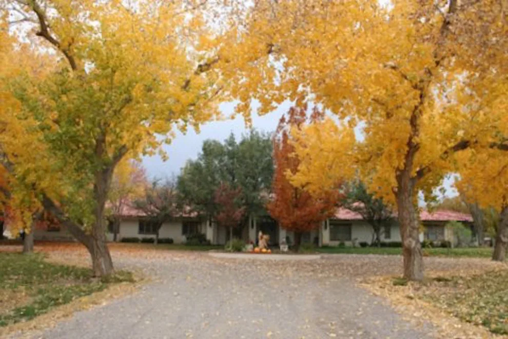 Mesilla Garden Co. - Photo 12