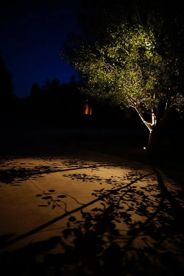 Exterior Illumination by Cutting Edge Landscapes - Photo 5