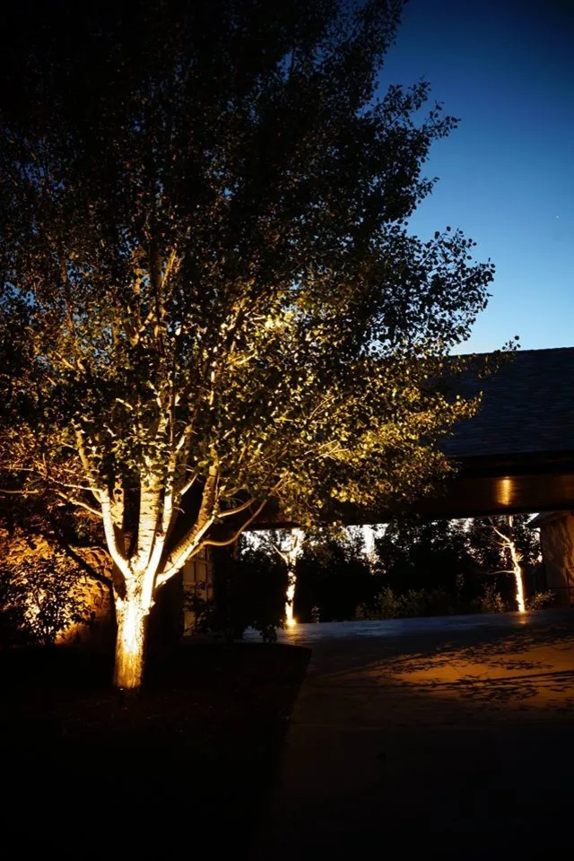 Exterior Illumination by Cutting Edge Landscapes - Photo 6