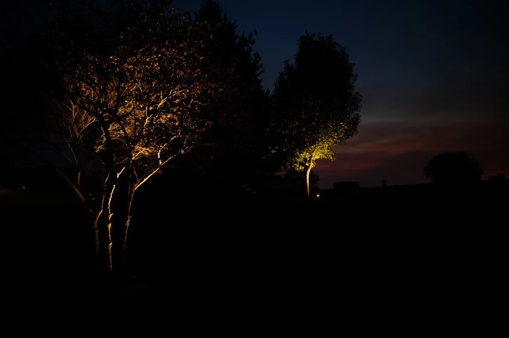 Exterior Illumination by Cutting Edge Landscapes - Photo 8