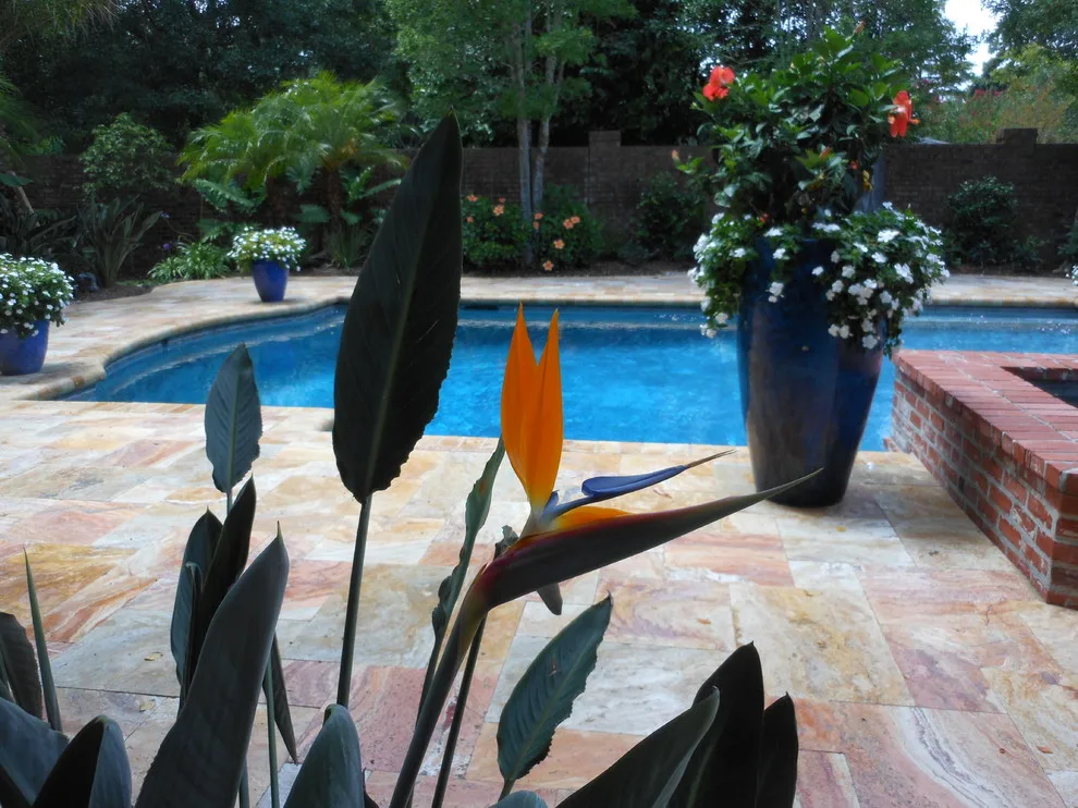 Outdoor Spaces: Swimming Pools by All Seasons Nursery & Landscaping, LLC. - Photo 31