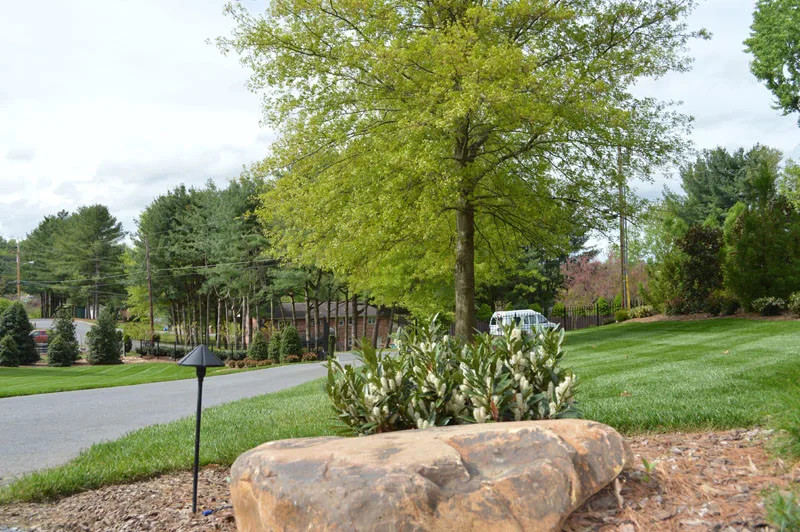 Exterior Transformation by Promier Landscapes - Photo 9