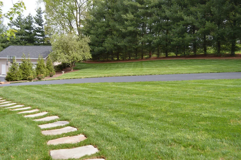 Exterior Transformation by Promier Landscapes - Photo 10