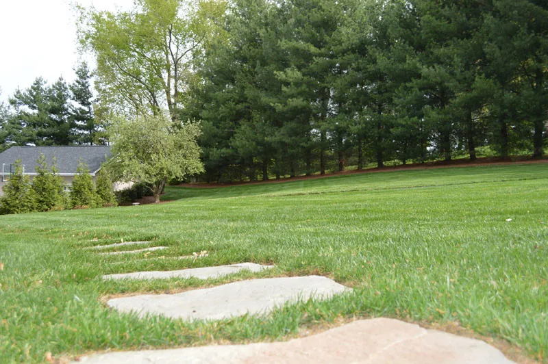 Exterior Transformation by Promier Landscapes - Photo 5