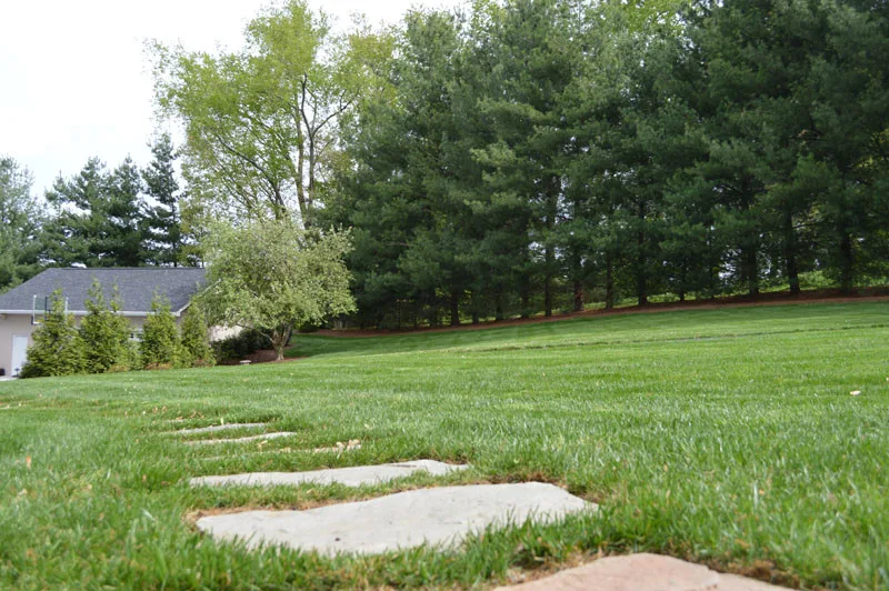 Promier Landscapes - Photo 4