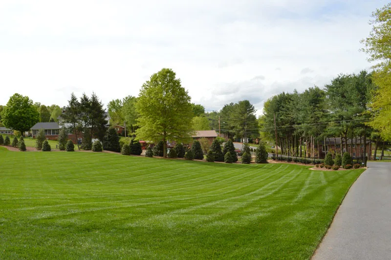 Exterior Transformation by Promier Landscapes - Photo 2