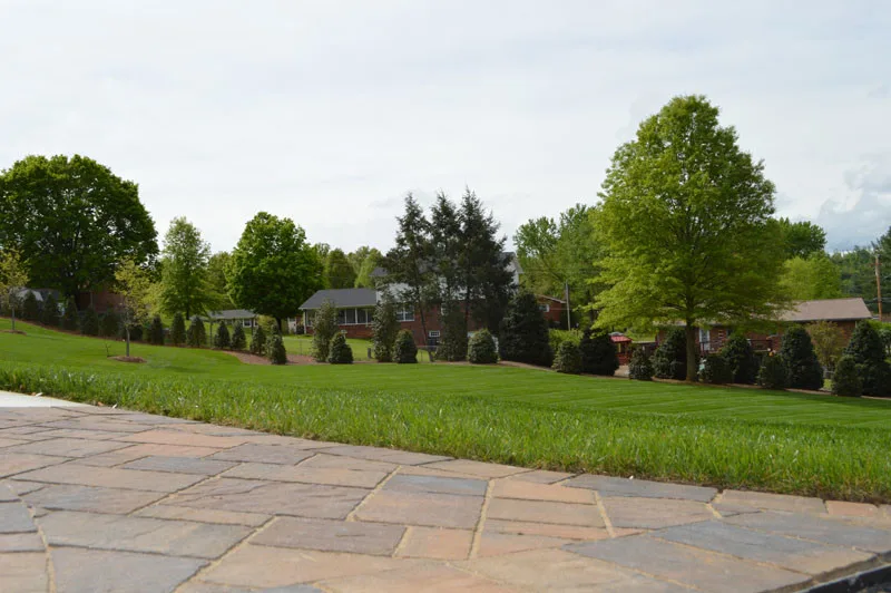 Exterior Transformation by Promier Landscapes - Photo 8