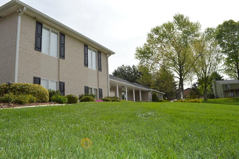 Exterior Transformation by Promier Landscapes - Photo 11