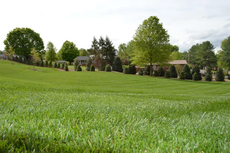 Exterior Transformation by Promier Landscapes - Photo 7