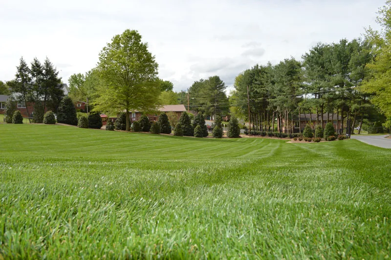 Exterior Transformation by Promier Landscapes - Photo 6