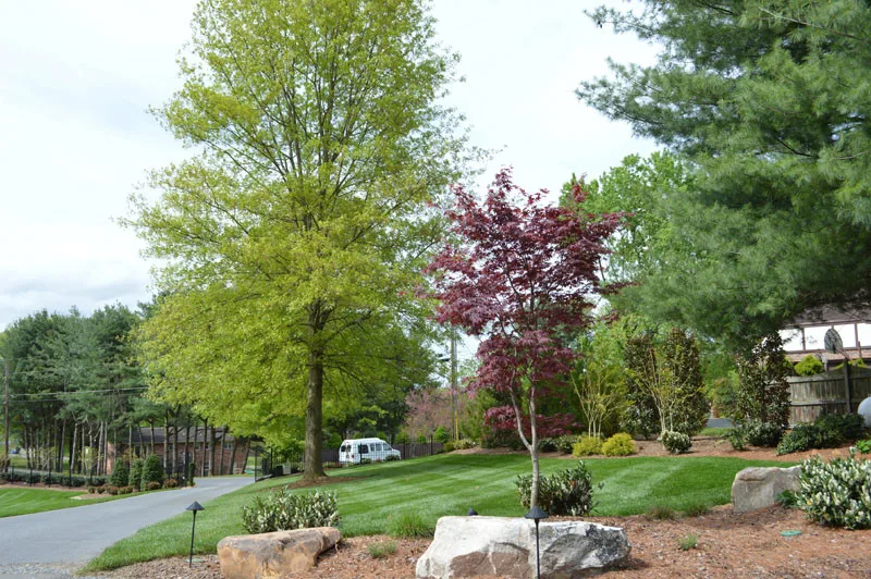 Exterior Transformation by Promier Landscapes - Photo 12
