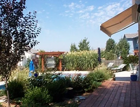 Overland Park Swimming Pool by Creative Outdoor Spaces - Photo 5