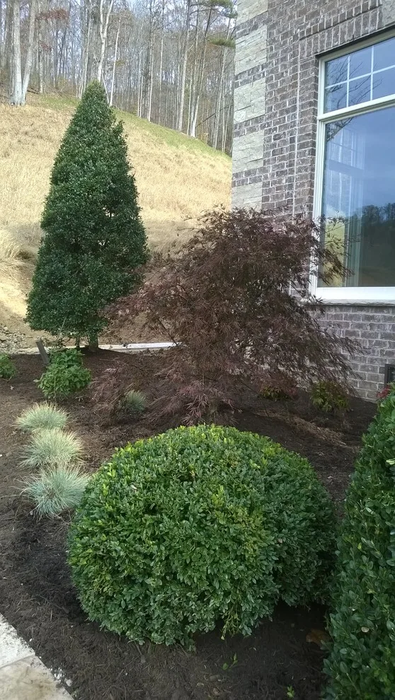 Southeast Kentucky by Everman Designs, LLC - Photo 4