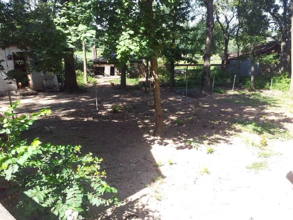 Pask Garden Space by Gardens By You And Me - Photo 2