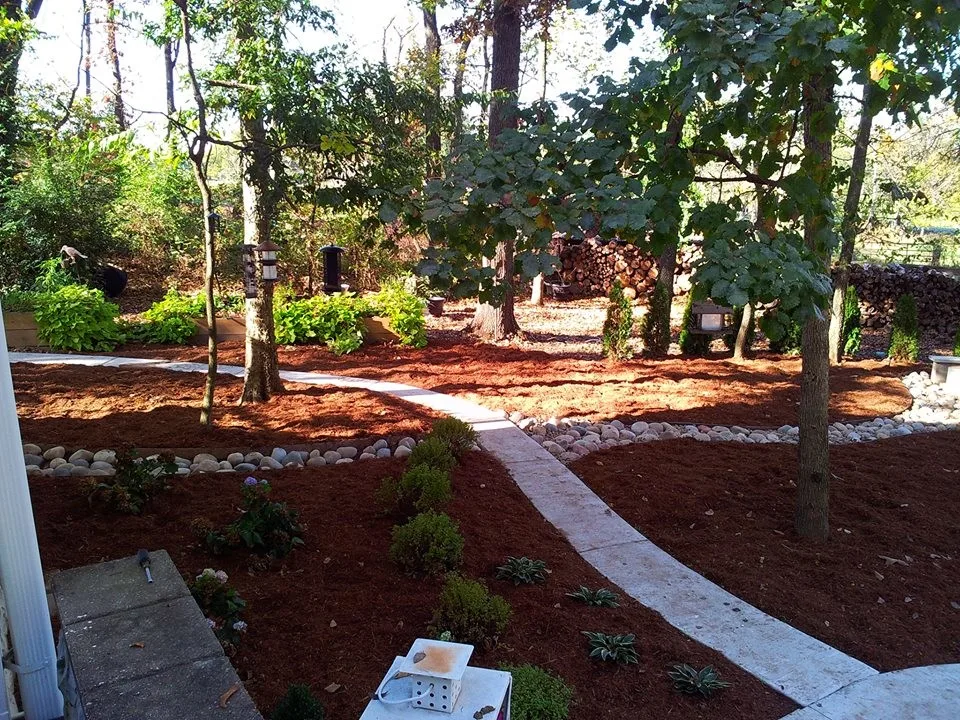 Pask Garden Space by Gardens By You And Me - Photo 3