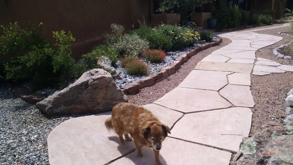 Routes by Taos Landscaping - Photo 3