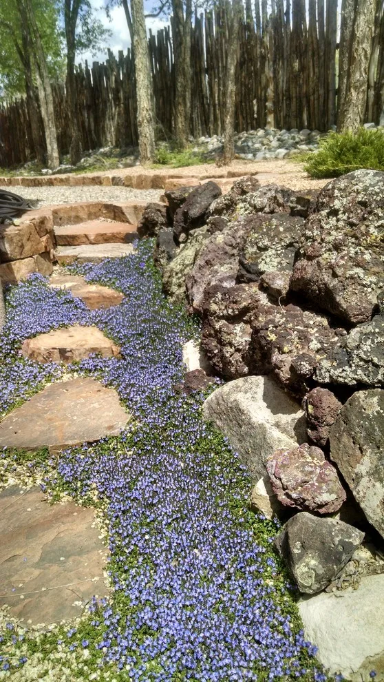 Routes by Taos Landscaping - Photo 12