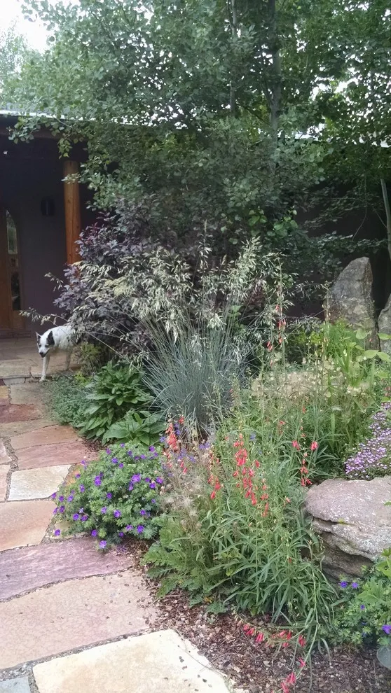 Routes by Taos Landscaping - Photo 24