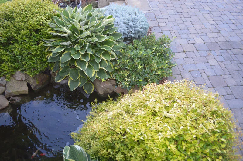 Patio Project Two by Promier Landscapes - Photo 7