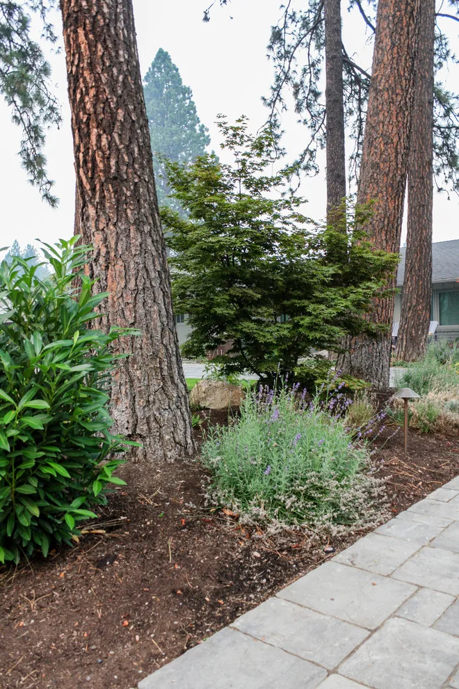 Perry Lane Ranch House by Pacific Garden Design - Photo 3