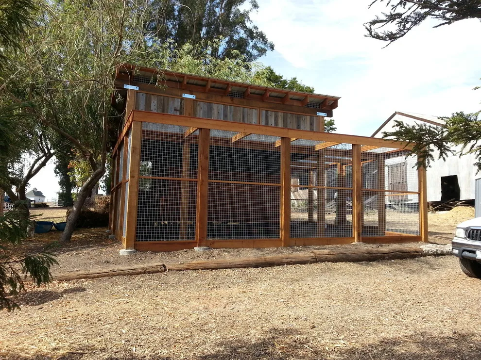 Petaluma Fowl by Gardens & Gables - Photo 3