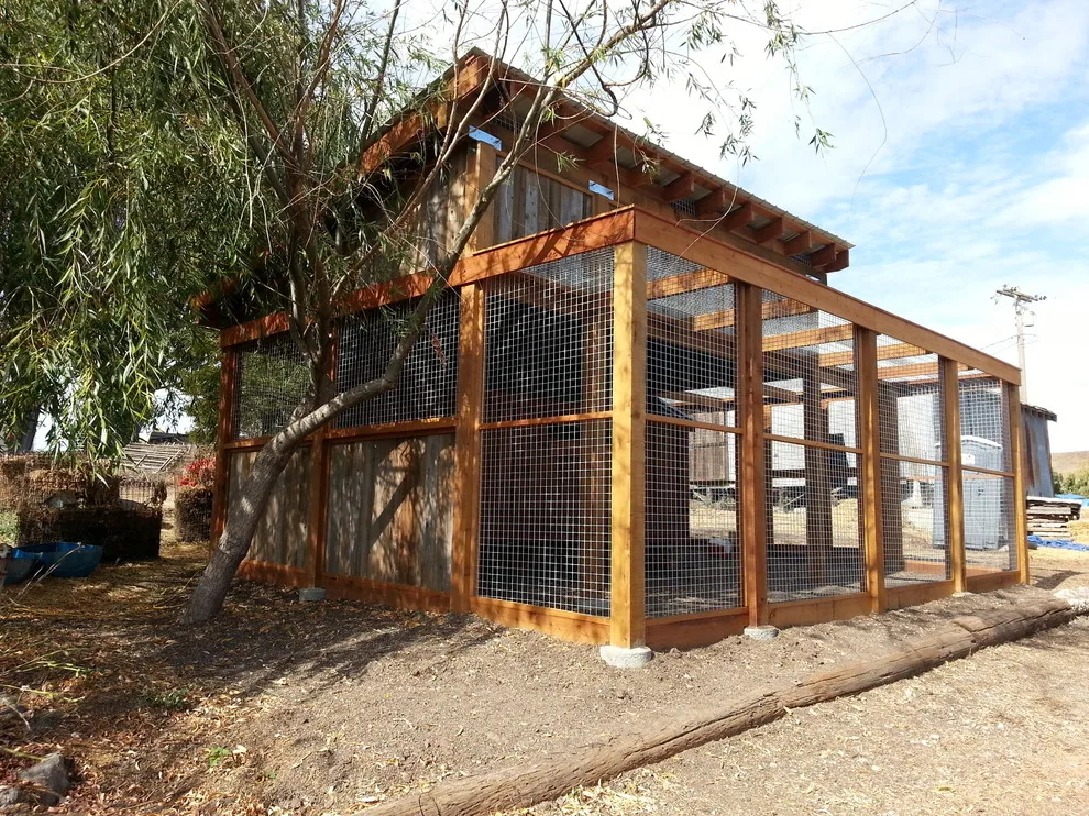 Petaluma Fowl by Gardens & Gables - Photo 6
