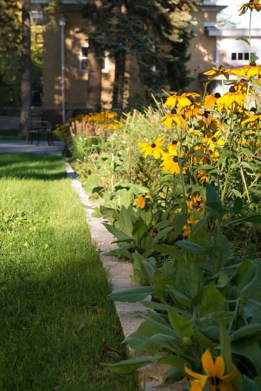 Peterson Project by Bella Terra Landscape Design - Photo 3