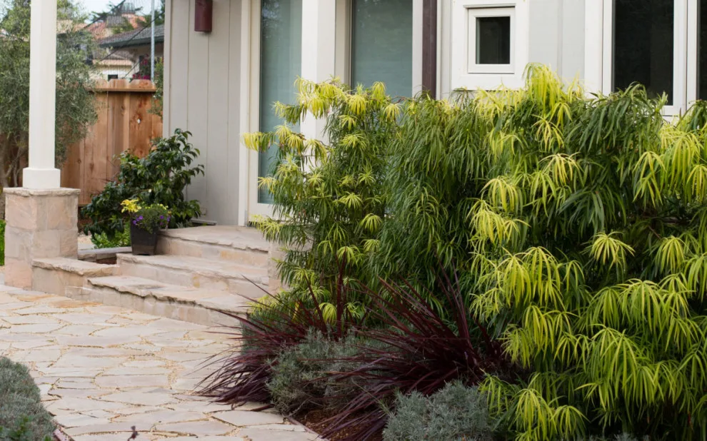 Blue Door Garden Design, Inc. - Photo 8