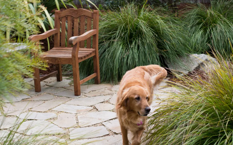 Blue Door Garden Design, Inc. - Photo 5
