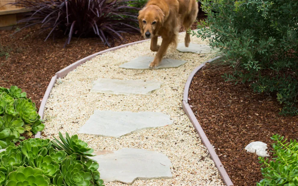 Blue Door Garden Design, Inc. - Photo 4