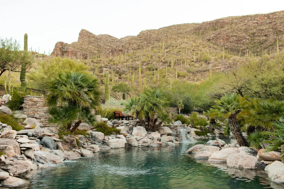 Pima Gorge by Boxhill - Photo 2