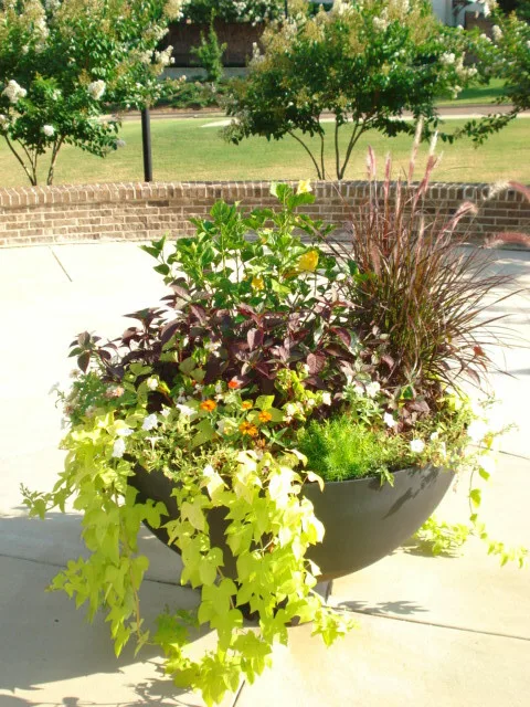 Containers and Vases by MRC Landscape Architecture - Photo 3
