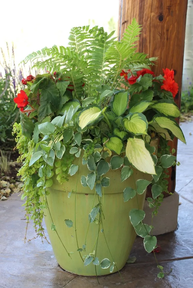 Teton Gardens - Photo 9