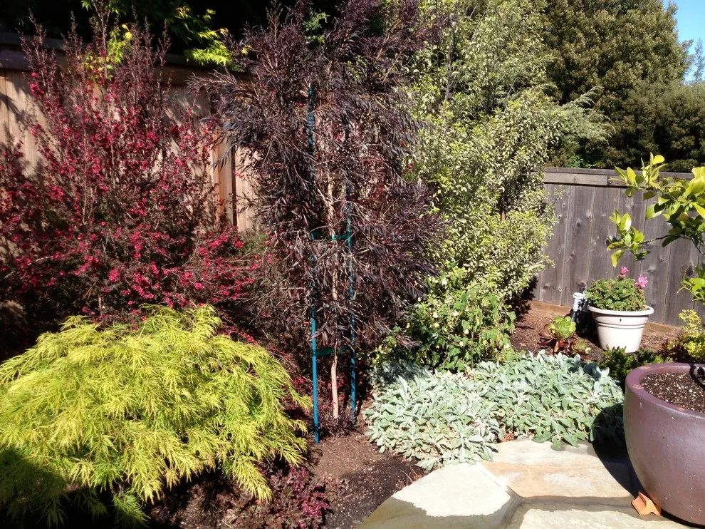 Greenings by Gardens & Gables - Photo 4