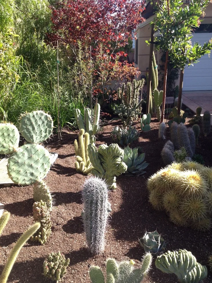 Greenings by Gardens & Gables - Photo 10