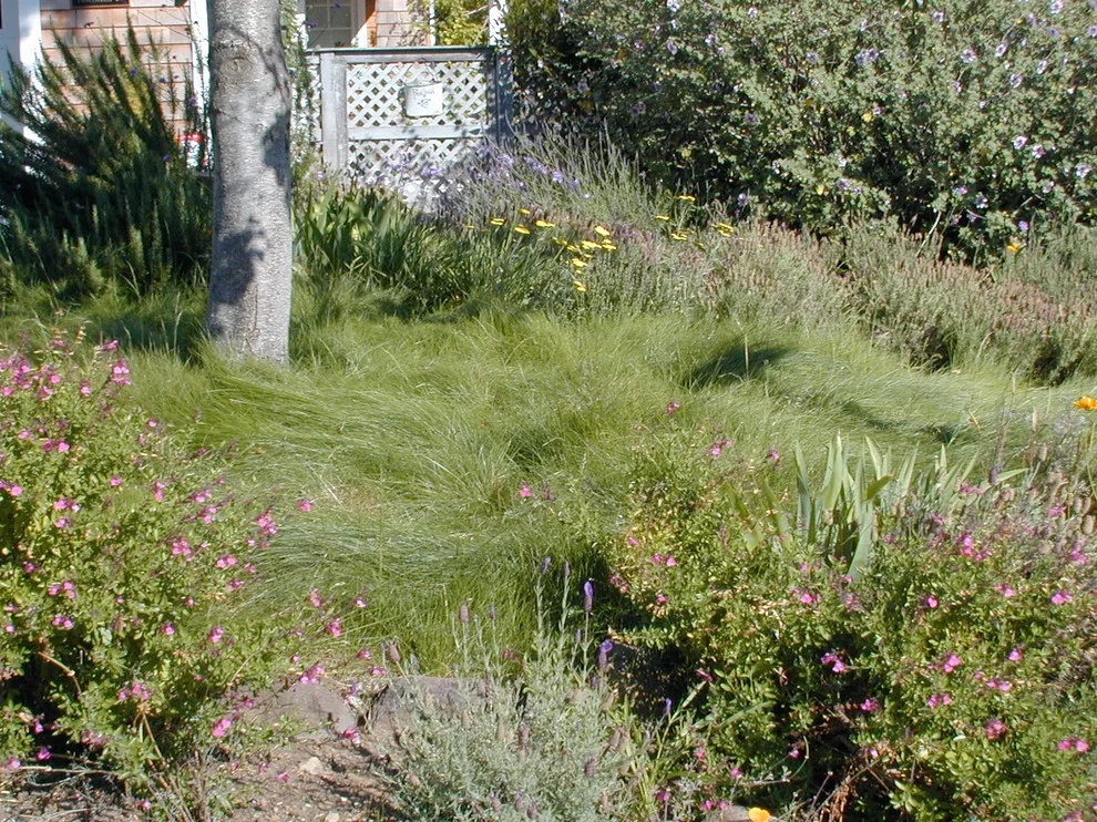 Greenings by Gardens & Gables - Photo 7