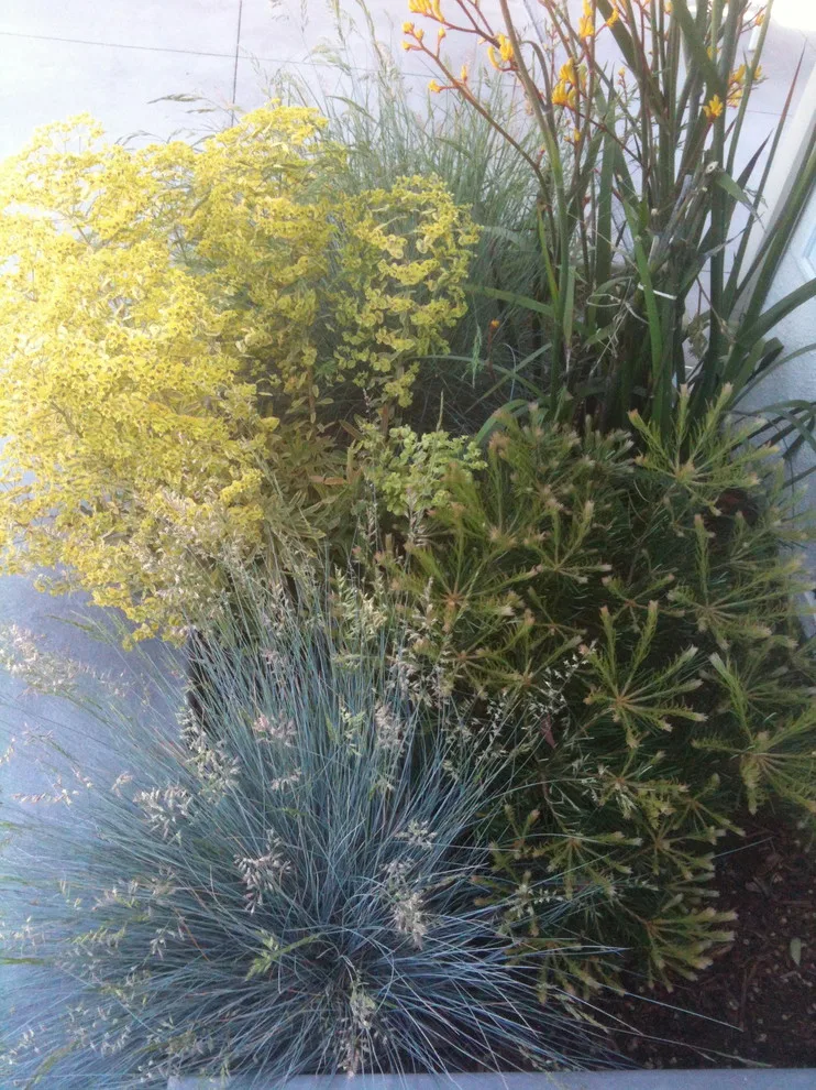 Greenings by Gardens & Gables - Photo 8