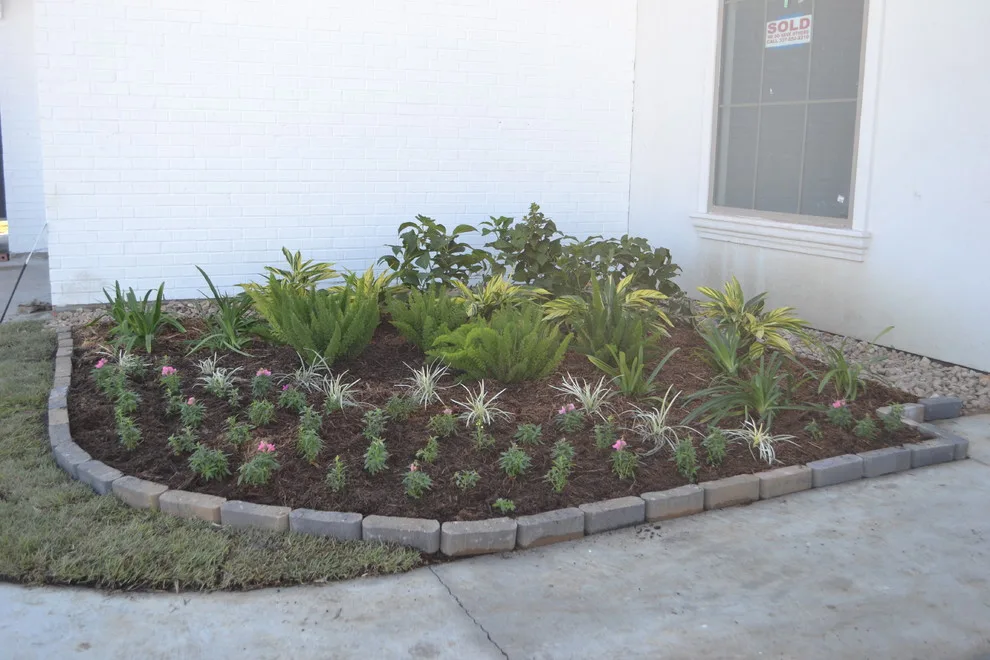 Avoid standard contractor landscaping by Megan Montgomery Design - Photo 3