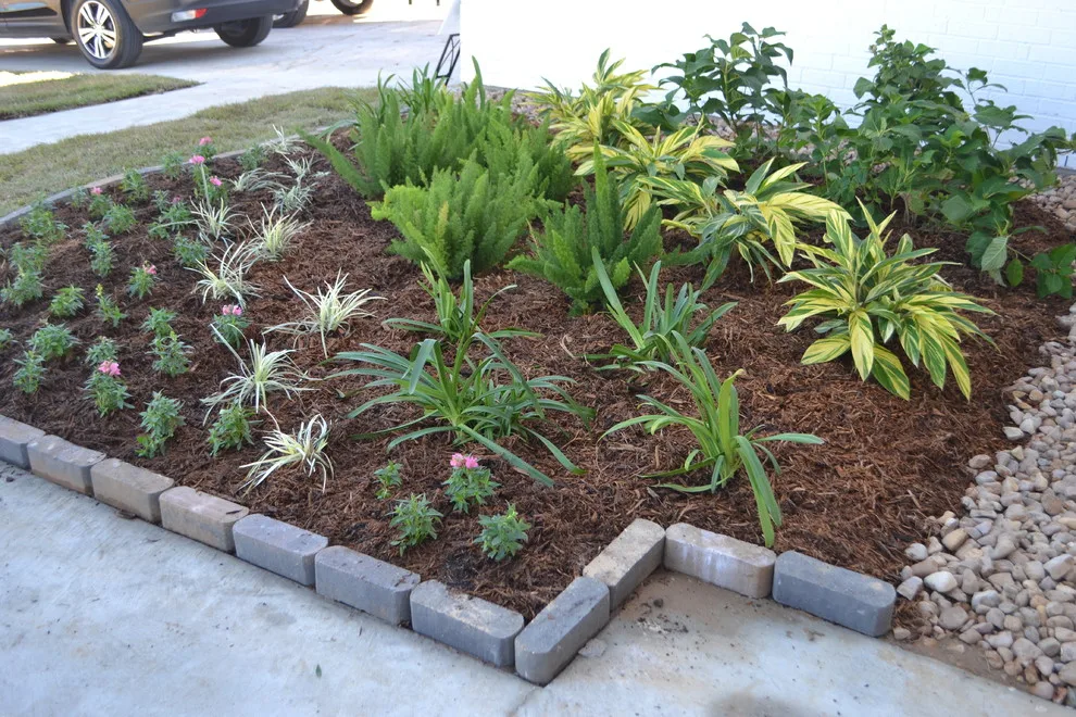 Avoid standard contractor landscaping by Megan Montgomery Design - Photo 4