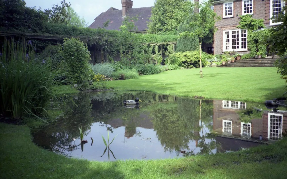 A renovated garden by English Landscape LLC - Photo 12