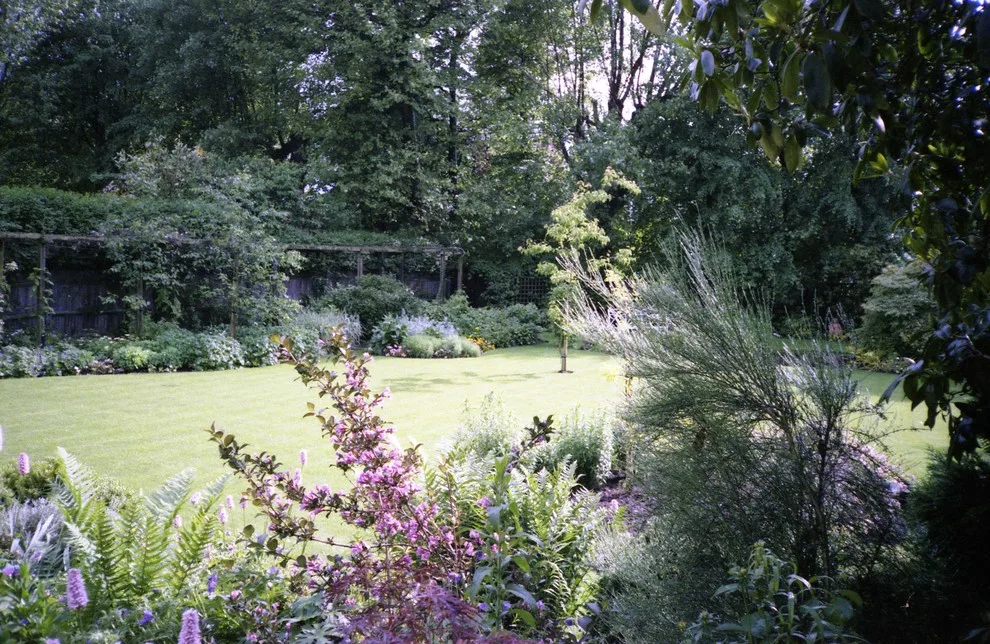 A renovated garden by English Landscape LLC - Photo 5