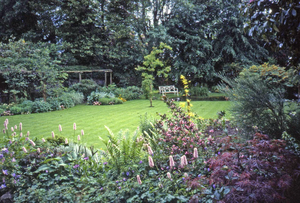 A renovated garden by English Landscape LLC - Photo 8