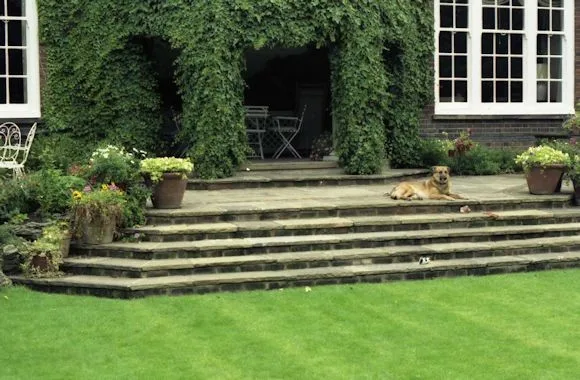 A renovated garden by English Landscape LLC - Photo 7