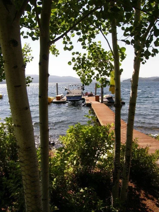 Waterfront Housing by Abbotswood Design Group - Photo 78