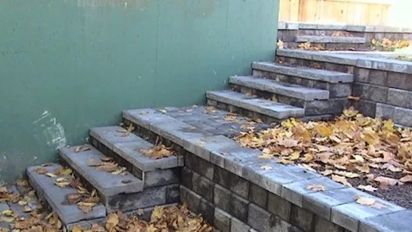 Pro Vision Landscape Construction - Photo 4