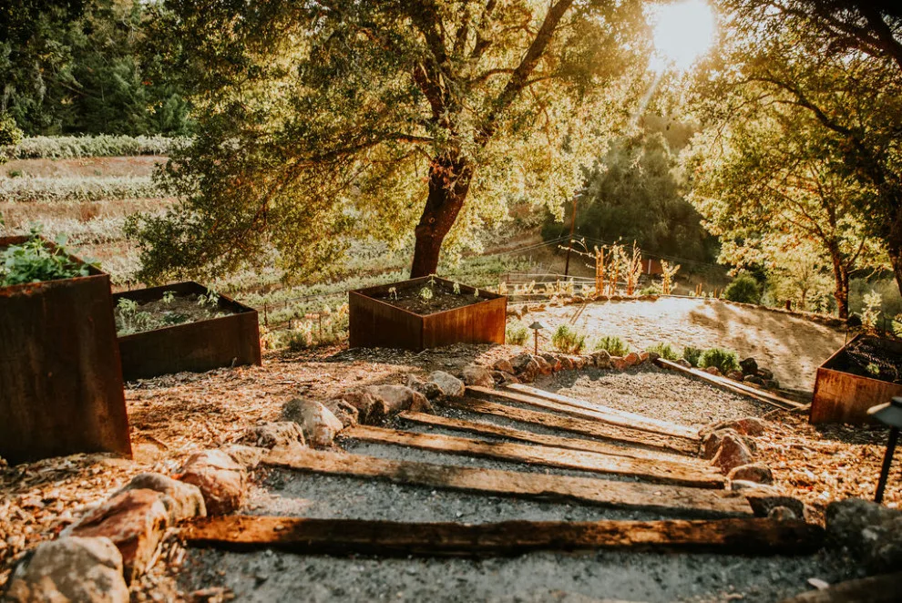 Jake Moss Designs - Photo 9